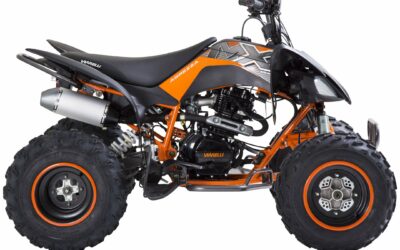 Viarelli Agrezza 250cc